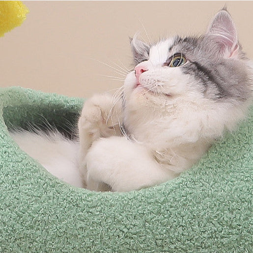 Cat Climbing Scratching Post - Wear-resistant